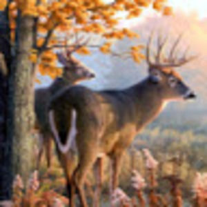 Meet your Posher, Caleb s